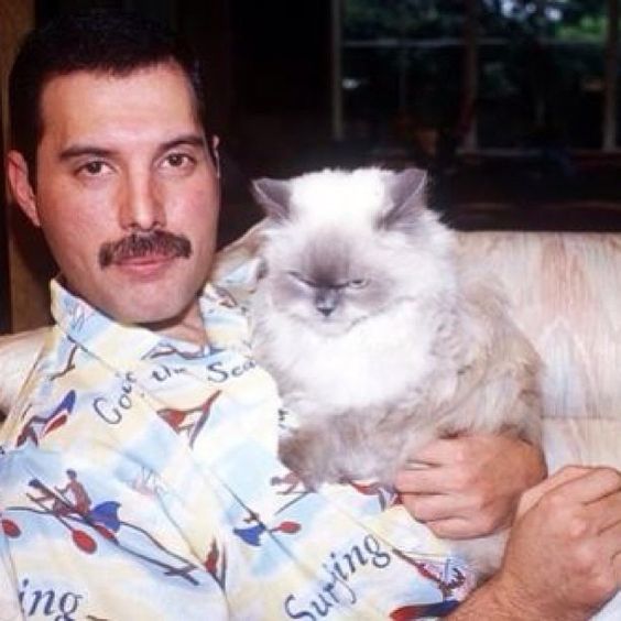 a8bbf4bef35224334da4e4e6c064a4ca