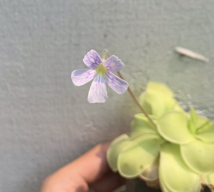 DCE7B818-203E-4D21-952E-D8EE23223BF3