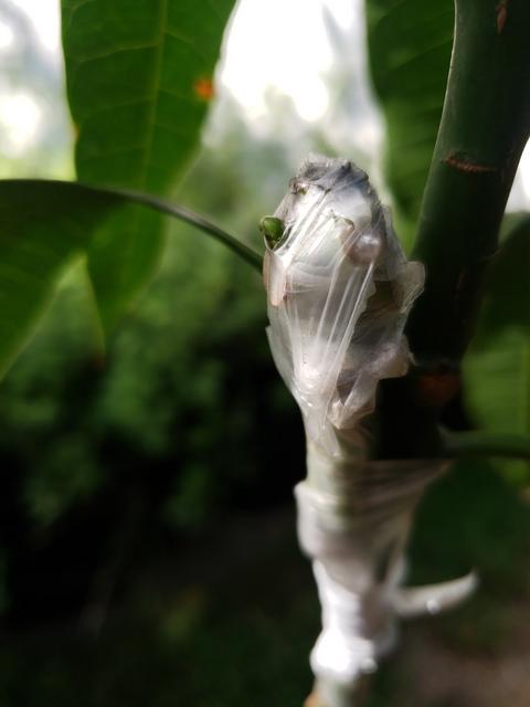 CD64DB67-D2AD-4DF5-8C75-24407683B13A