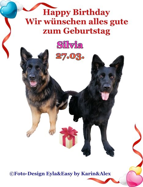 An den Beitrag angehängtes Bild: https://i.postimg.cc/90Shmk9T/Vorlage-Geburtstagsbild-2022-Silvia-27-03-Silvia.jpg