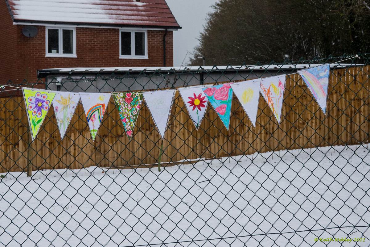 Bunting 4