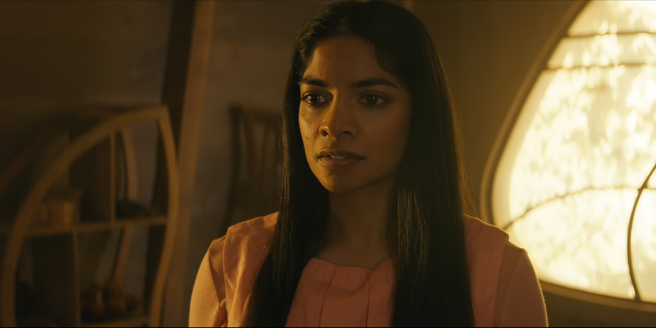 Moonhaven.S01E03.The.Envoy.1080p.10bit.AMZN.WEB-DL.DDP5.1.HEVC-Vyndros.mkv_snapshot_11.09_[2022.09.1