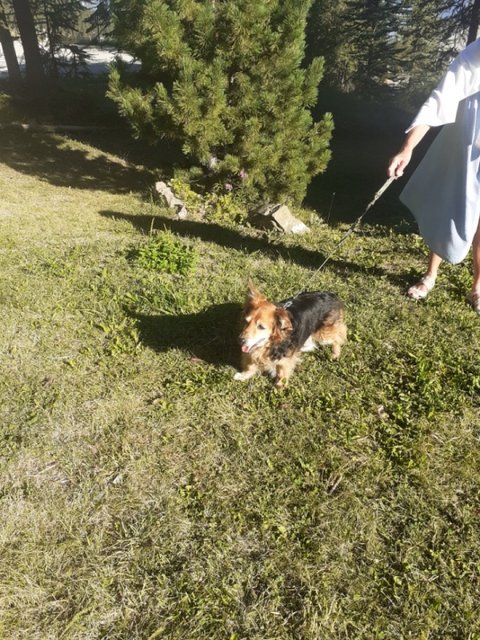 [Image: Resized-20200823-092514-1.jpg]