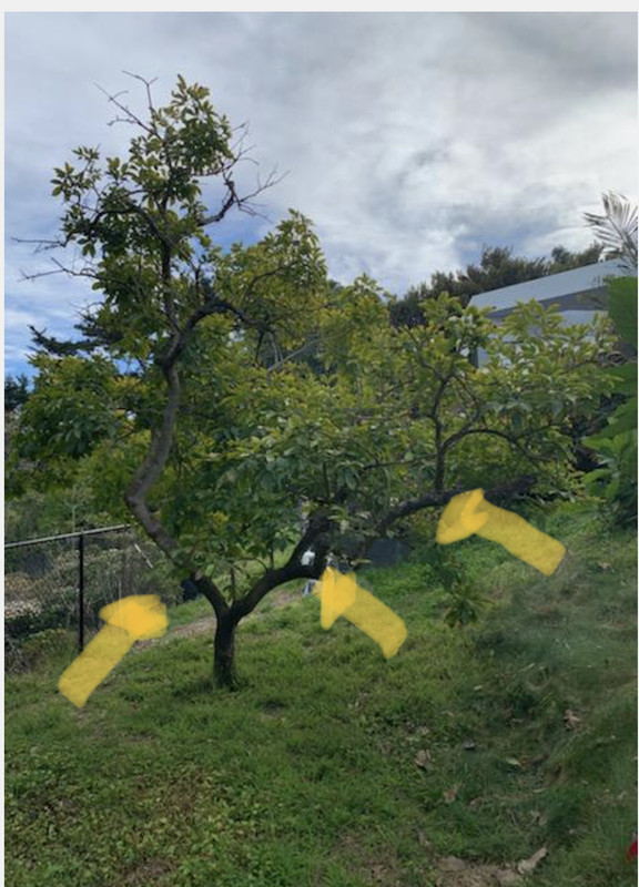 9DA26F1A-6504-4216-A043-0FAB43A64E3F