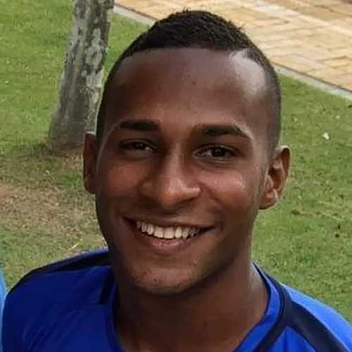 https://i.postimg.cc/90T25Ldp/robinho2.png