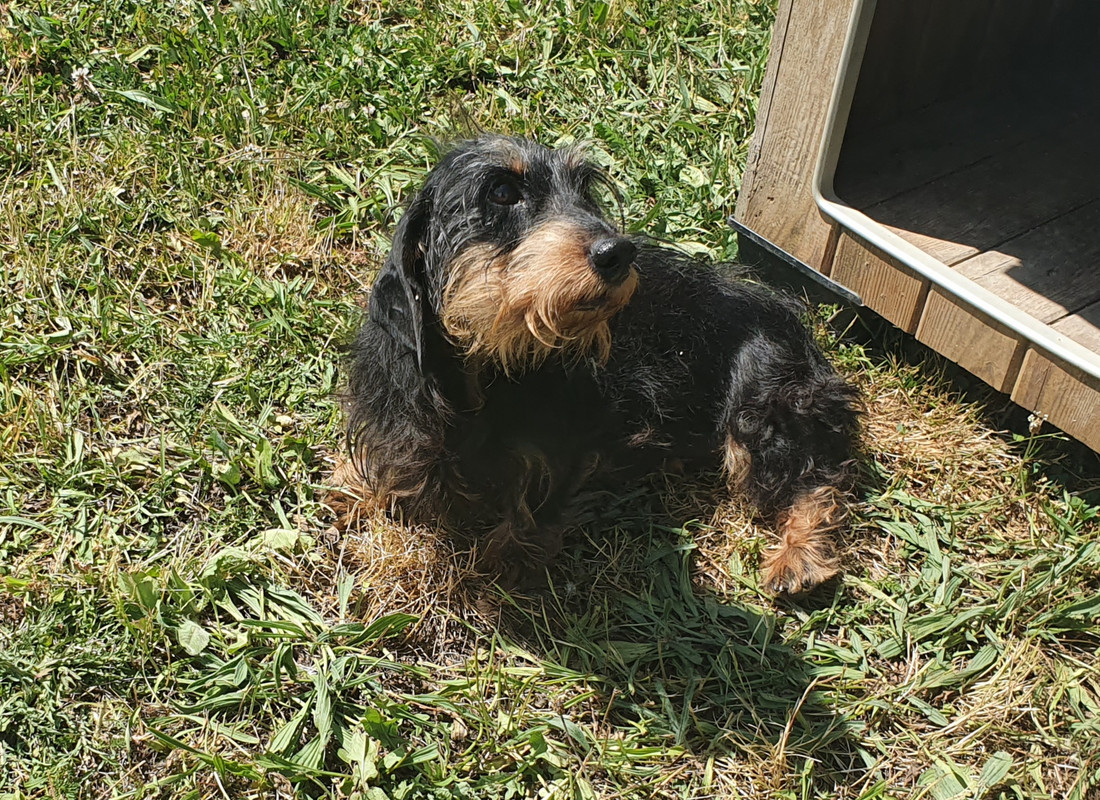 [Image: 20230612-153538.jpg]