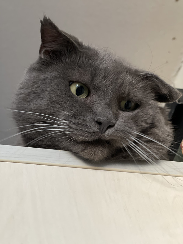 3407A9DB-D473-4E69-99B7-550F960C7B32