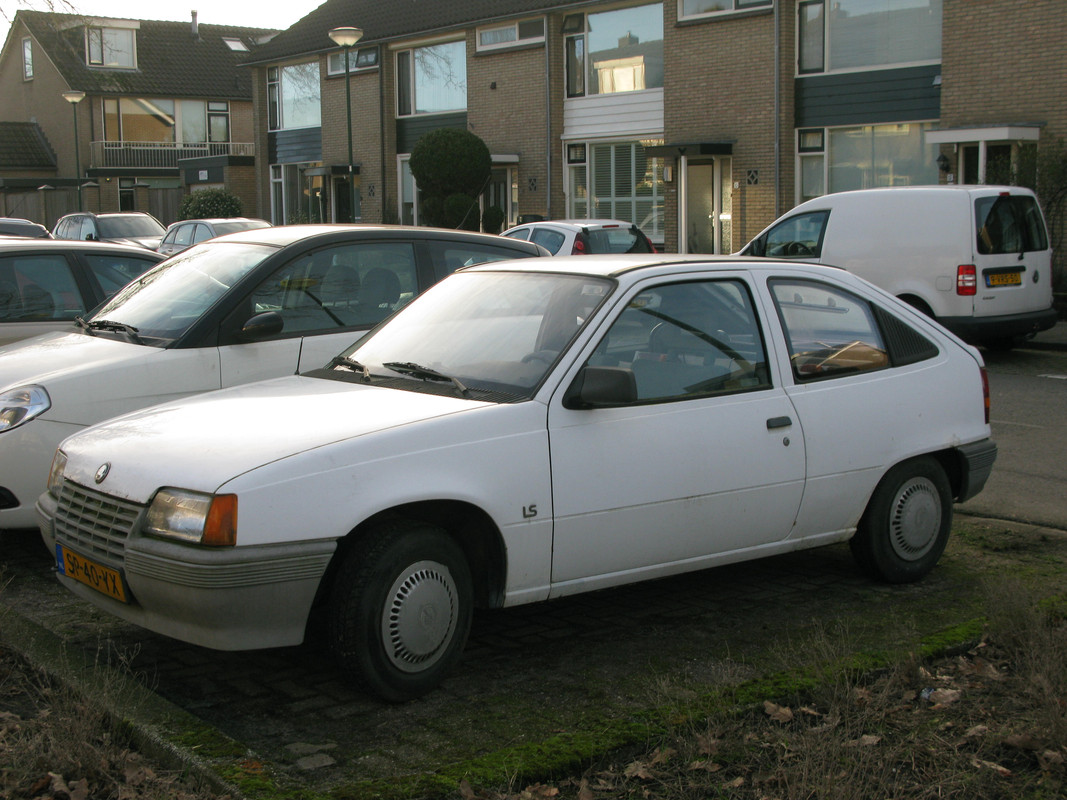 IMG-6692.jpg