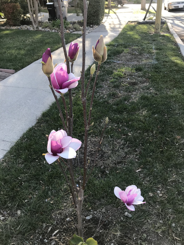 420BA386-CF1E-4501-823C-238A480499C5