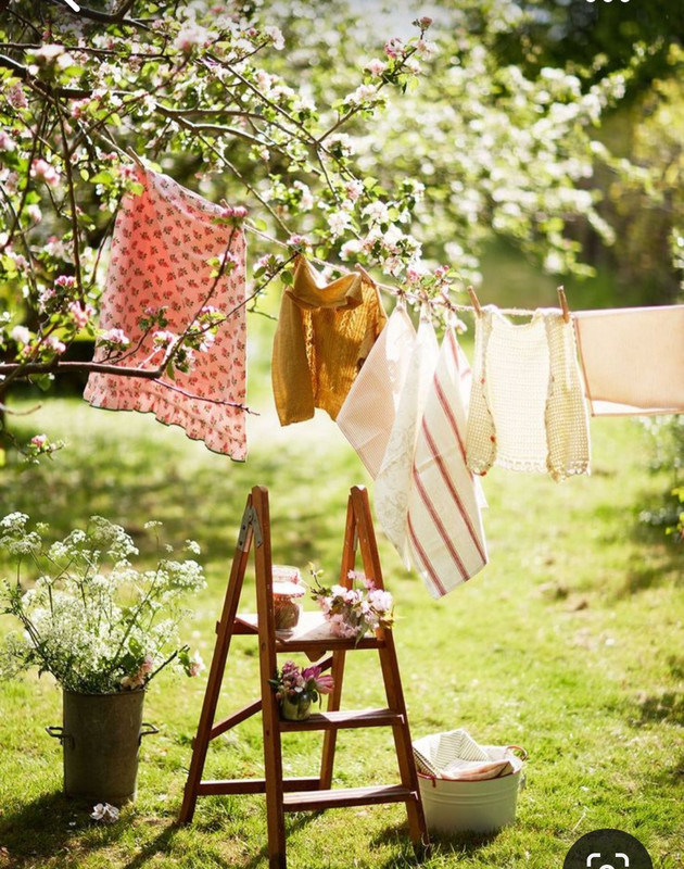 Screenshot_20230616_124934_Pinterest