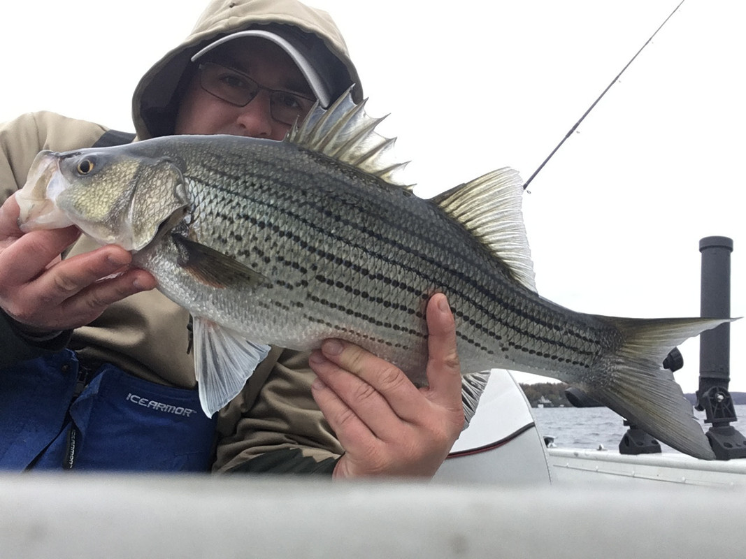 48C2EBA7-E5F8-479B-AC9A-914FAA40CFCD