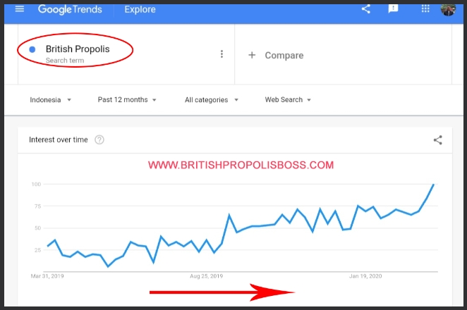 Blogger Landingpages