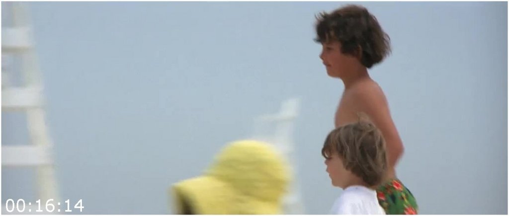 Jaws-The-Ultimate-4-Movie-Collection-Remastered-1975-1987-Eng-Subs-720p-H264-mp4.jpg