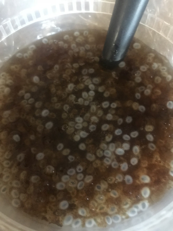 [Image: 2330CC8E-0DC7-4BDD-AC75-ACC85805E4F5.jpg]