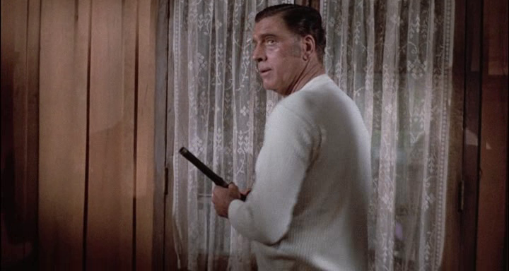 vlcsnap-2023-12-07-21h29m51s862