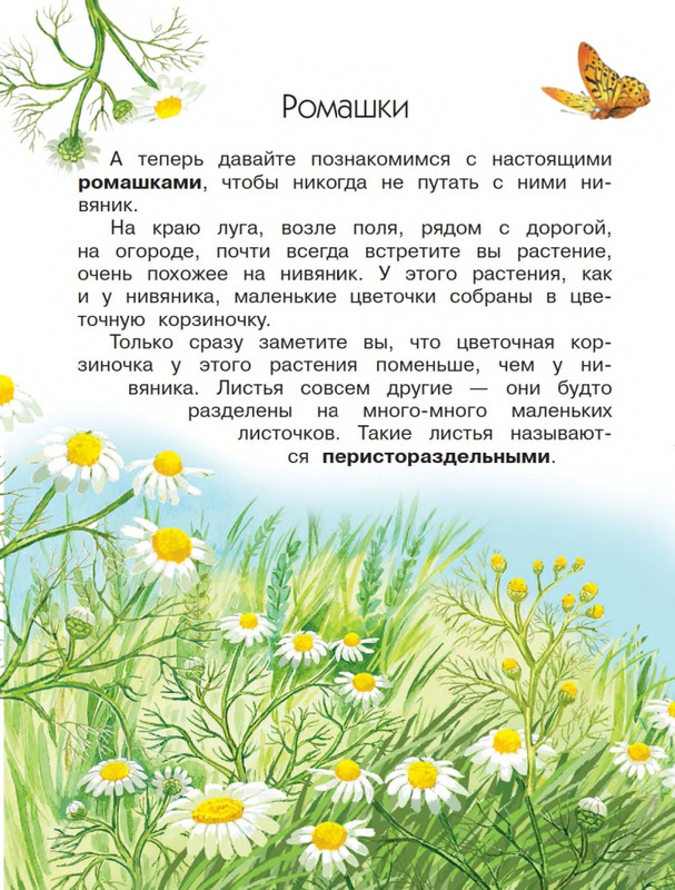 Onegov-Anatolij-Pochemu-kukushka-slozki-lot-page-0023