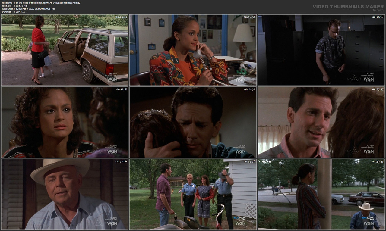 In the Heat of the Night S06E07 An Occupational Hazard.mkv