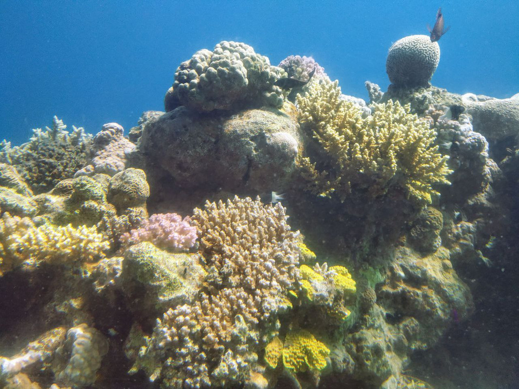 6A2A3D0E-5750-4807-B50D-8A3D69833CD8