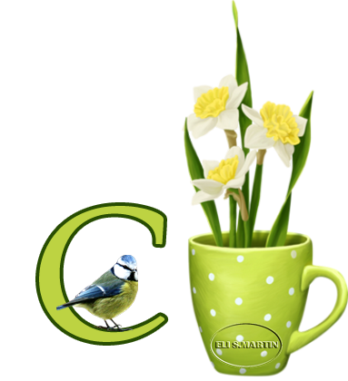 Taza con narcisos C