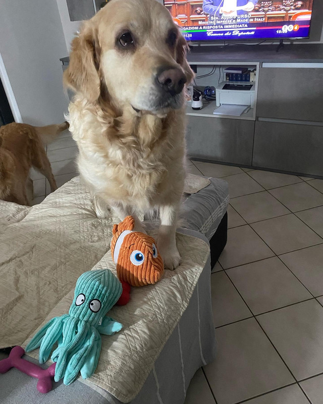 6CADBFBA-EC68-4EE5-9B76-B7EBEFA17980