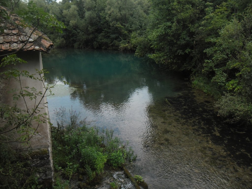 Slika