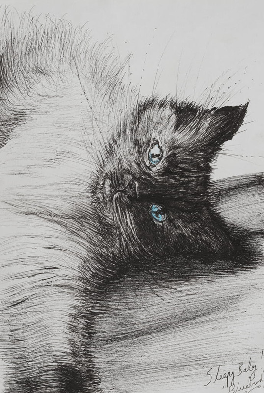 Vincent Alexander Booth - Reach 2012 (ink on paper) - (MeisterDrucke-231399)