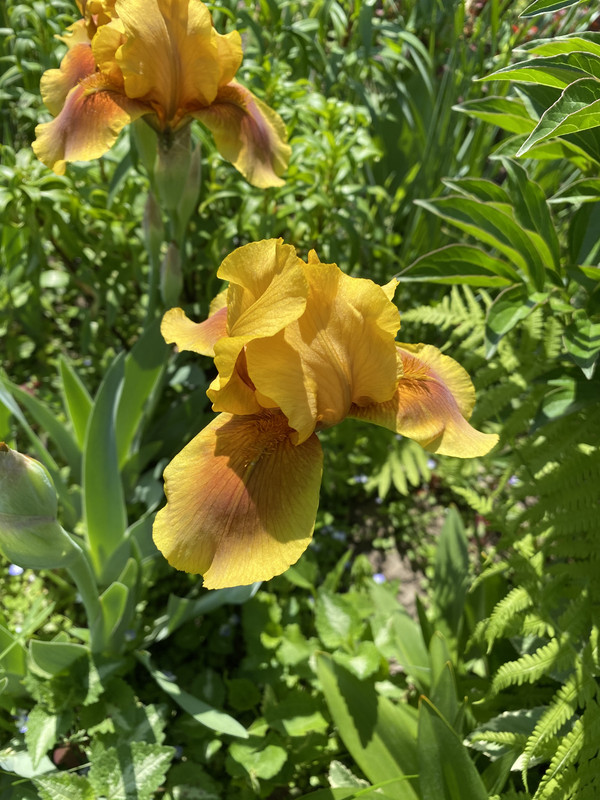 906DB100-90C9-4928-9B74-8818A8C73B10