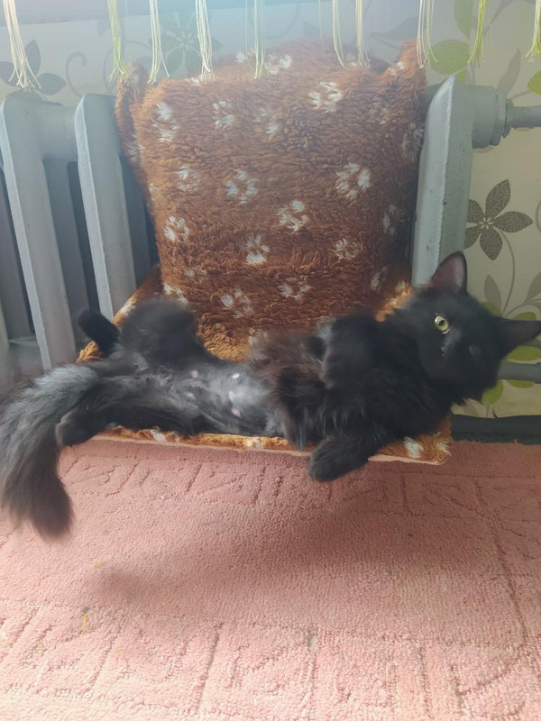 47E81978-7335-436C-903E-72B5474FB0A4