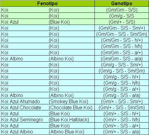 fenotipos-genotipos-koi-1.gif