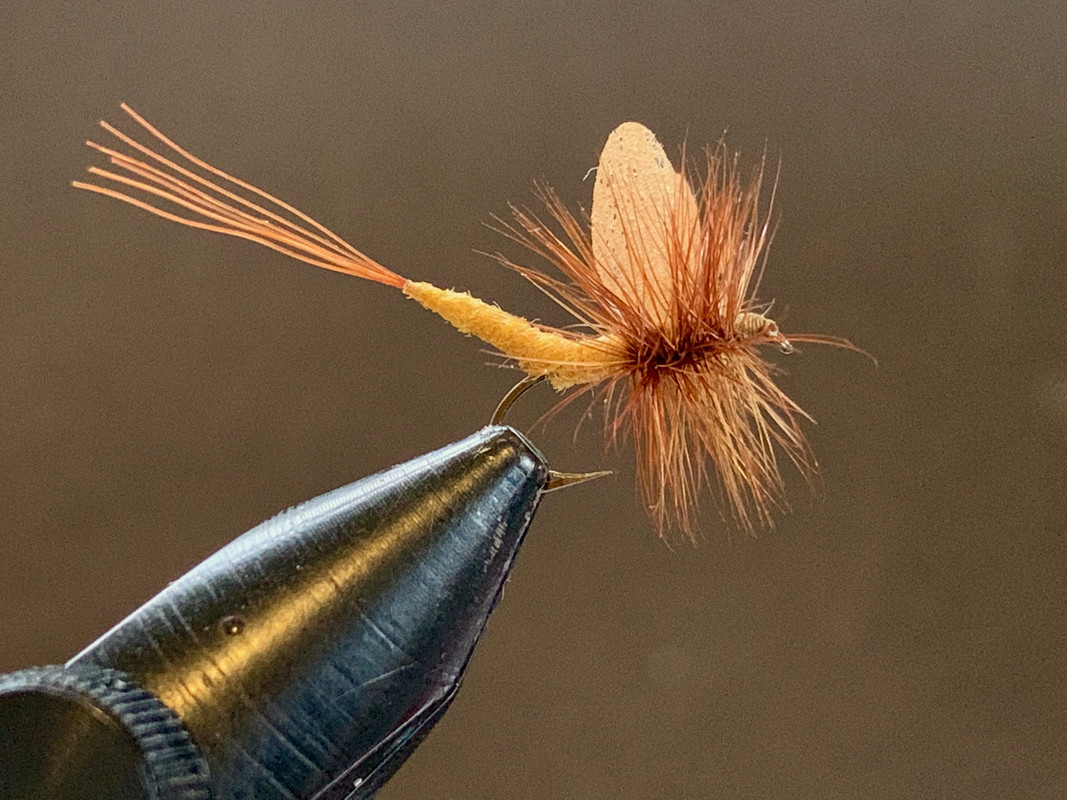 Foust extended body mayfly