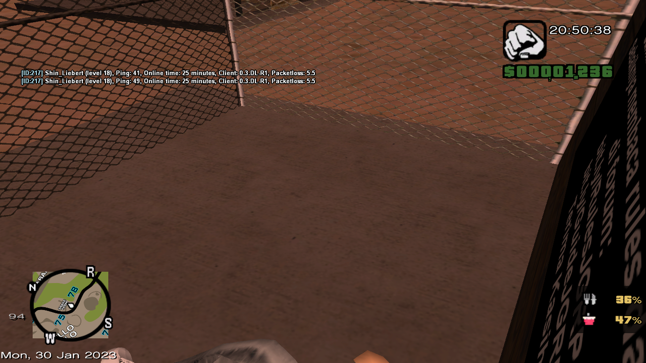 samp-30-01-2023-20-50-40.png