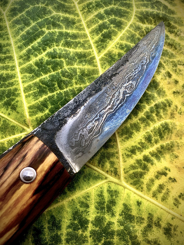 D4037AAD 8F82 4D31 BB91 B7EFBCEA5C83