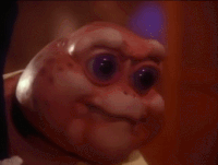 5489233be799e734d2e5035deefaa9a0-w200.gif