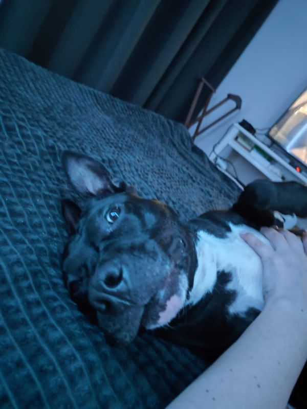 87566E11-6381-4452-BA4B-249B52E933FA