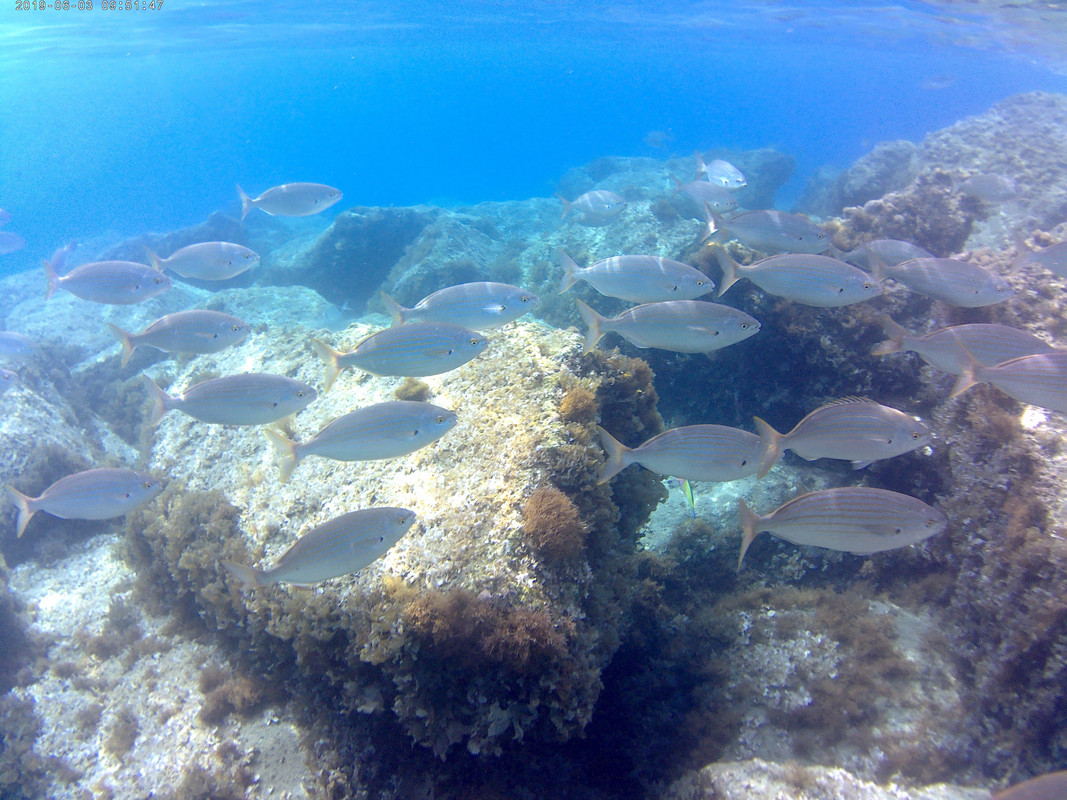 20190603_095147A — копия