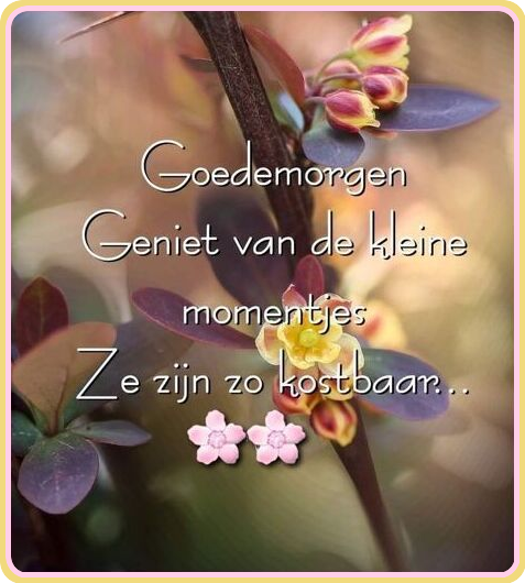 kostbare-momentjes.png