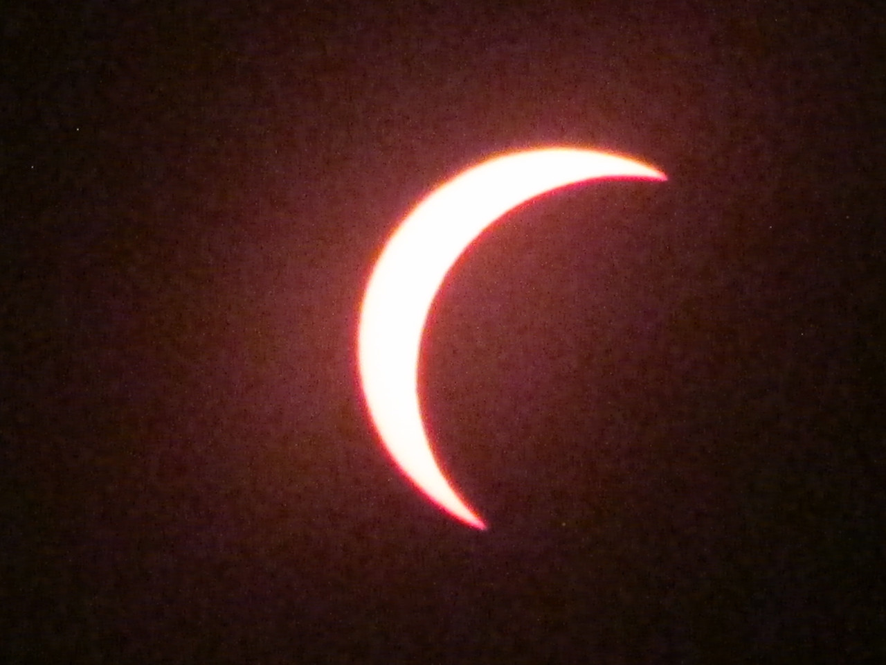 IMG-9951.jpg