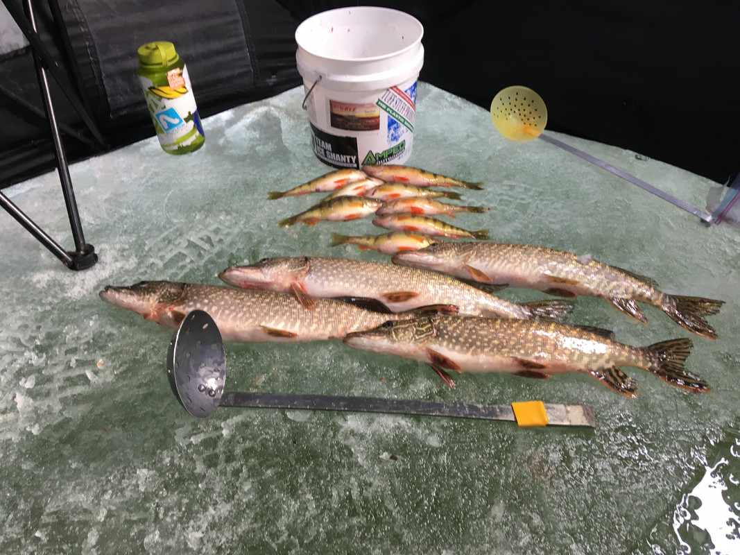 6207C363-C0AB-4172-A588-19B1DAB71738