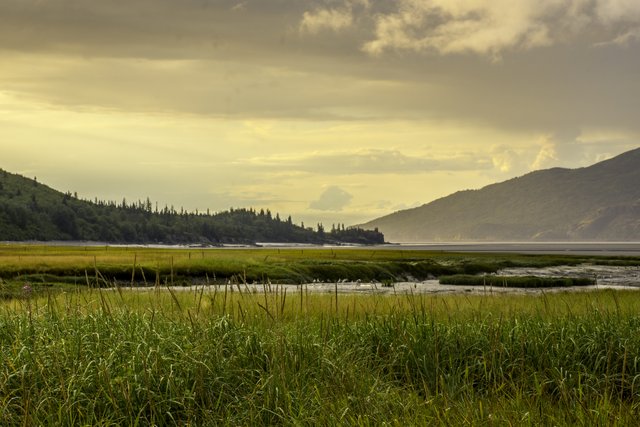 hope (1 of 1)-2 - Copy