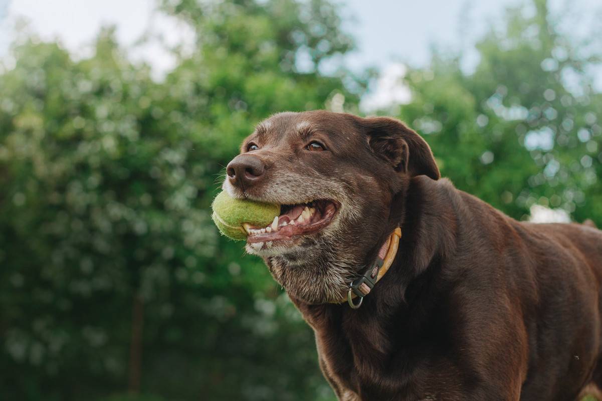 IMG-52dbaf0a938c9cbfe9b4daec2ea6d0e5-V