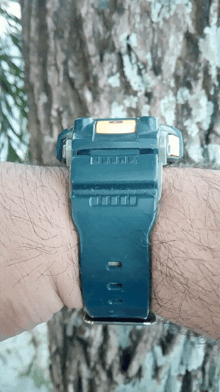GIF-200215_065445