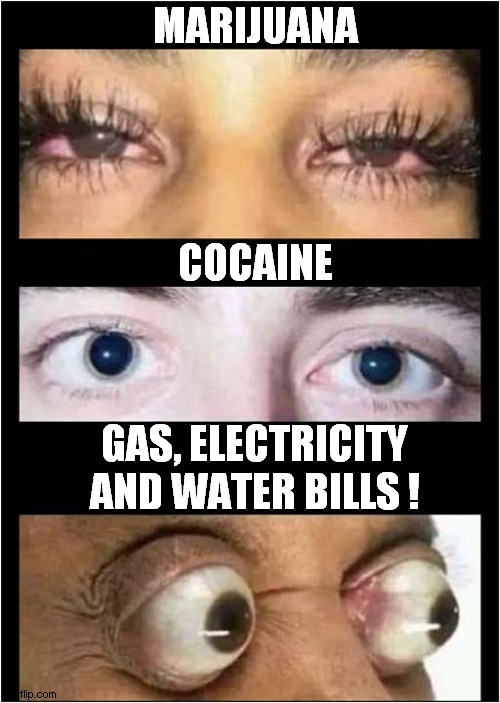 bills.jpg