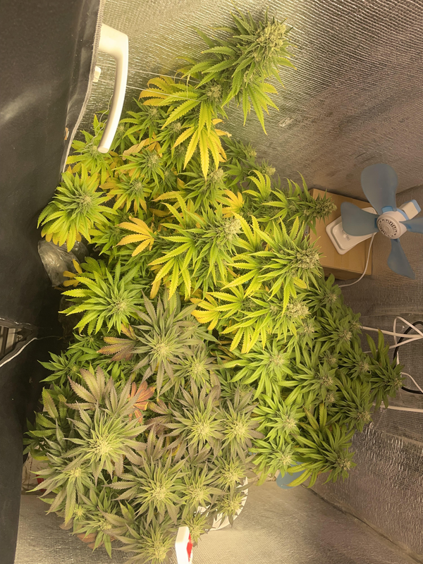 görsel 2026 03 05 181920859