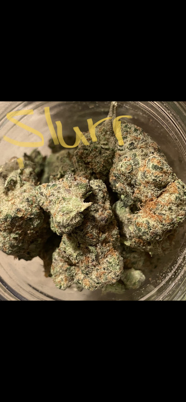 51EFFB9E-520A-4725-AE43-AEF5A2944758