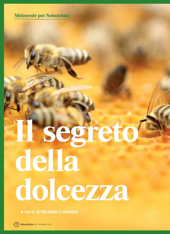 melaverde Set 2022 (7)