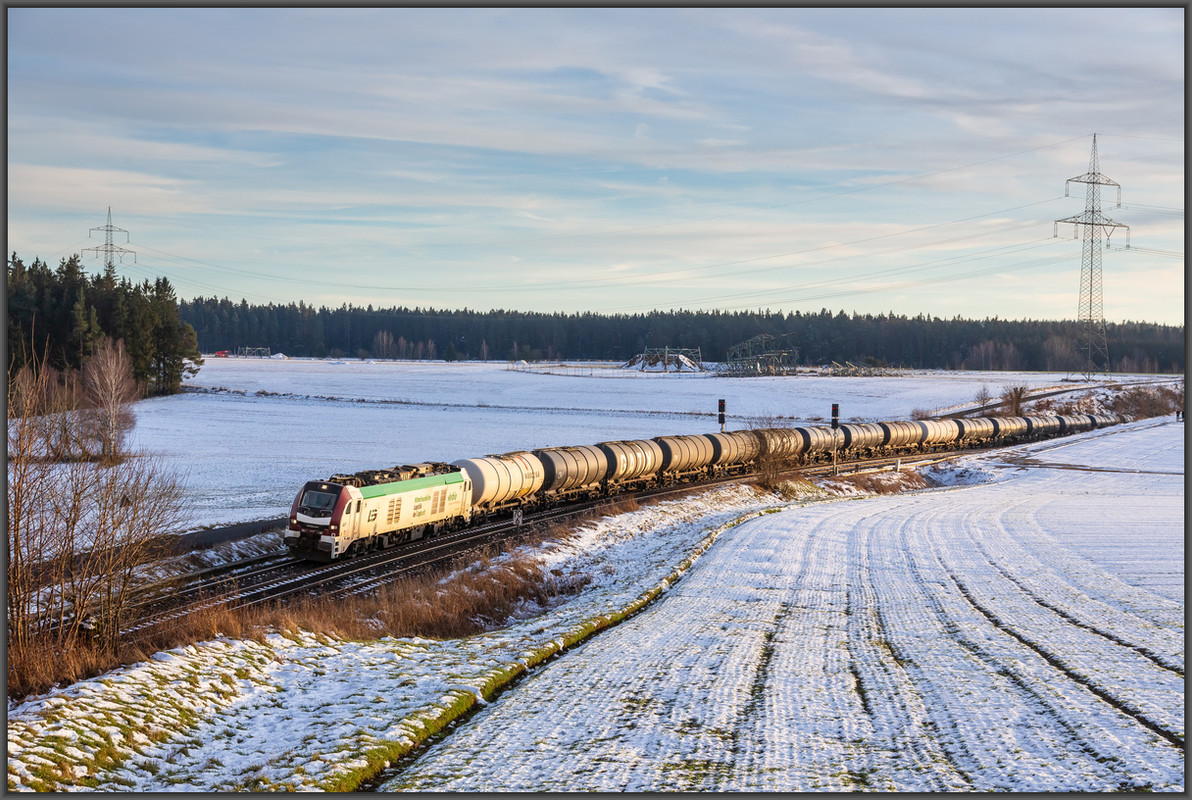 20241227-_M7A4159