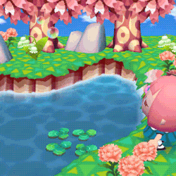 ac cherry blossoms