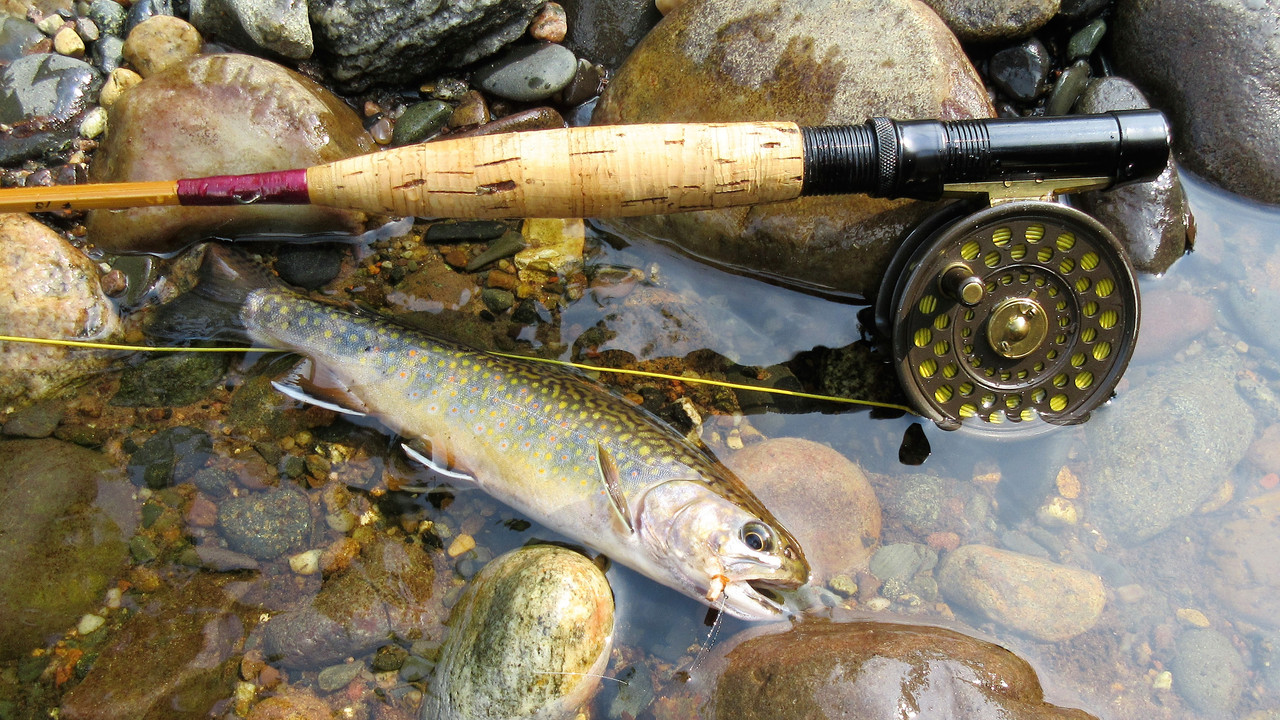 Reels for short, lightweight bamboo rods - Page 2 - The Classic Fly Rod  Forum