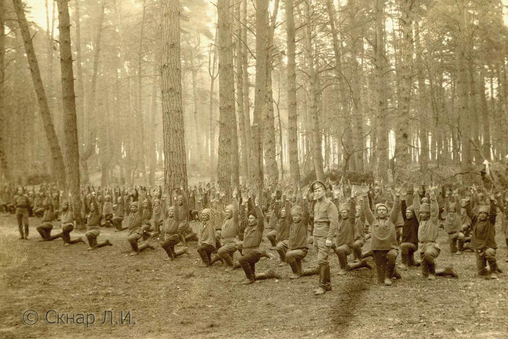 540985-1be43f79b90160fa91da56c2d7457c03