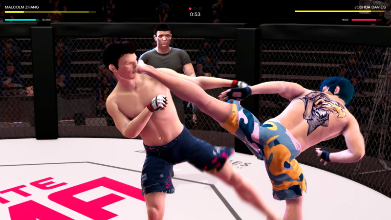 Ultimate MMA (2020)